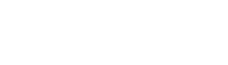 POINT 01